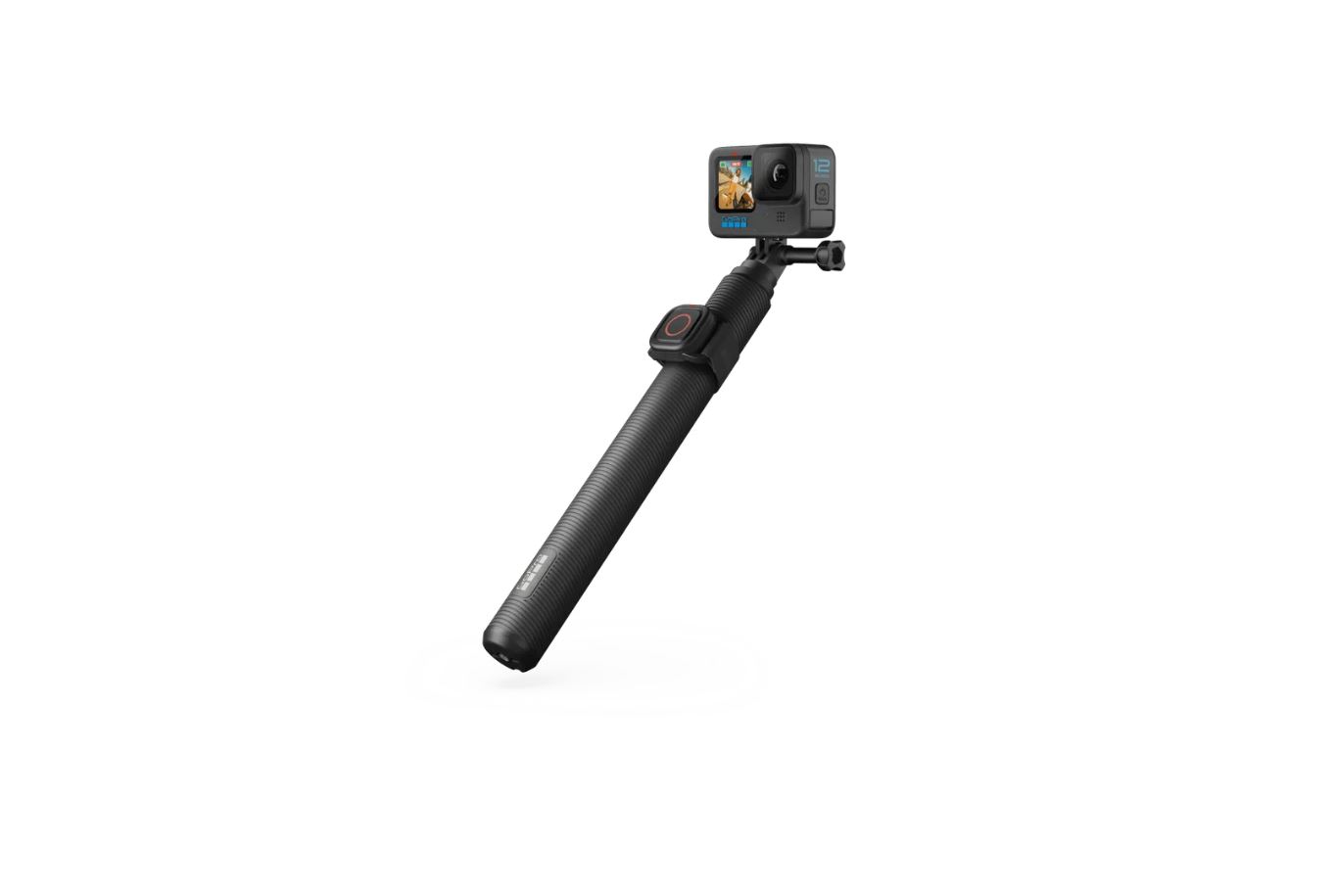 Camera Access. GOPRO AGXTS-002-ES Extension Pole + Remote