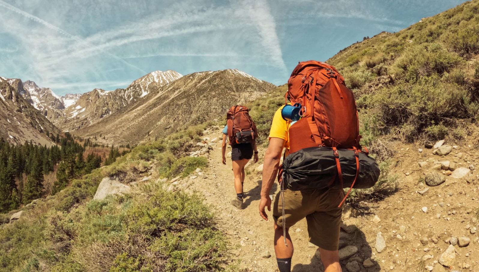 GoPro Head Strap + QuickClip