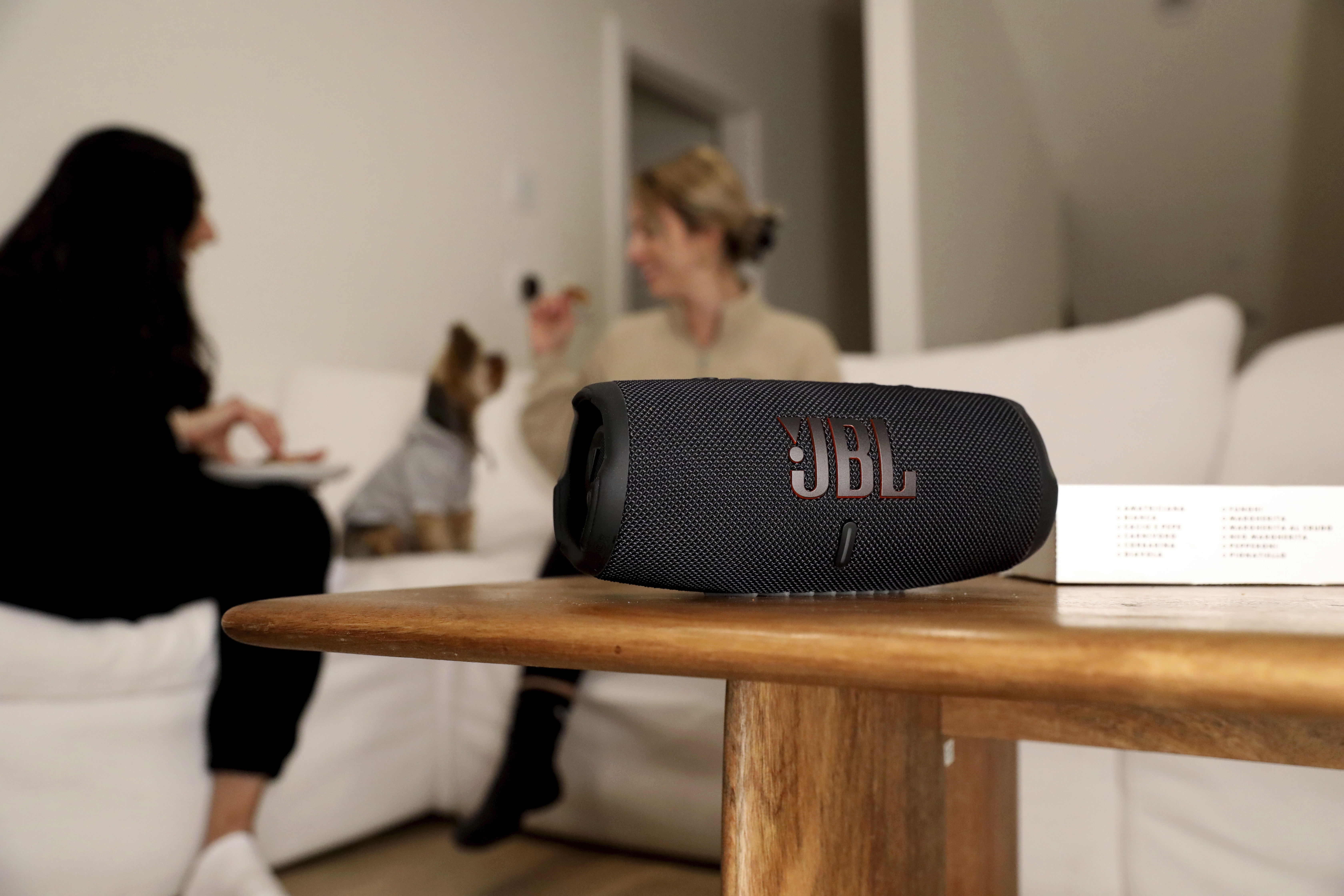 JBL CHARGE 5 Draadloze stereoluidspreker Zwart 30 W