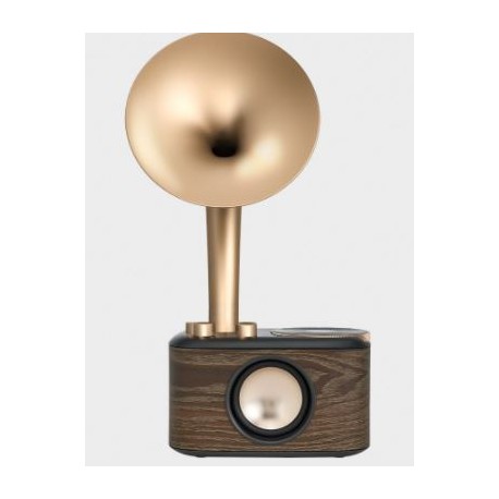 FM radio SANGEAN WR-45X goud