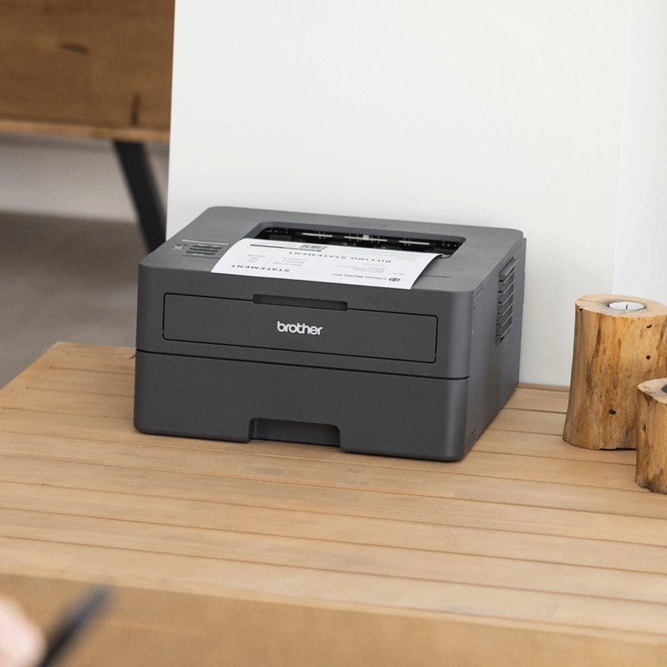 Printer Laser Brother HL-L2400DWE Mono A4 ECO