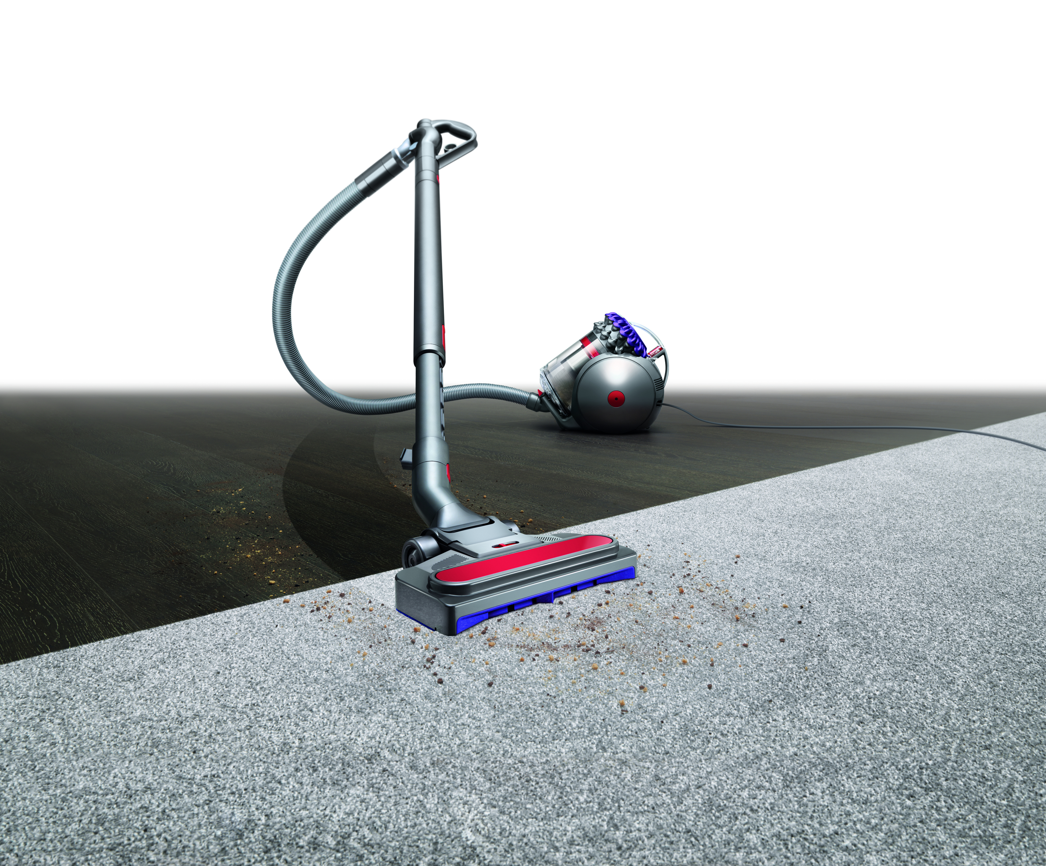 Dyson Big Ball Parquet 2