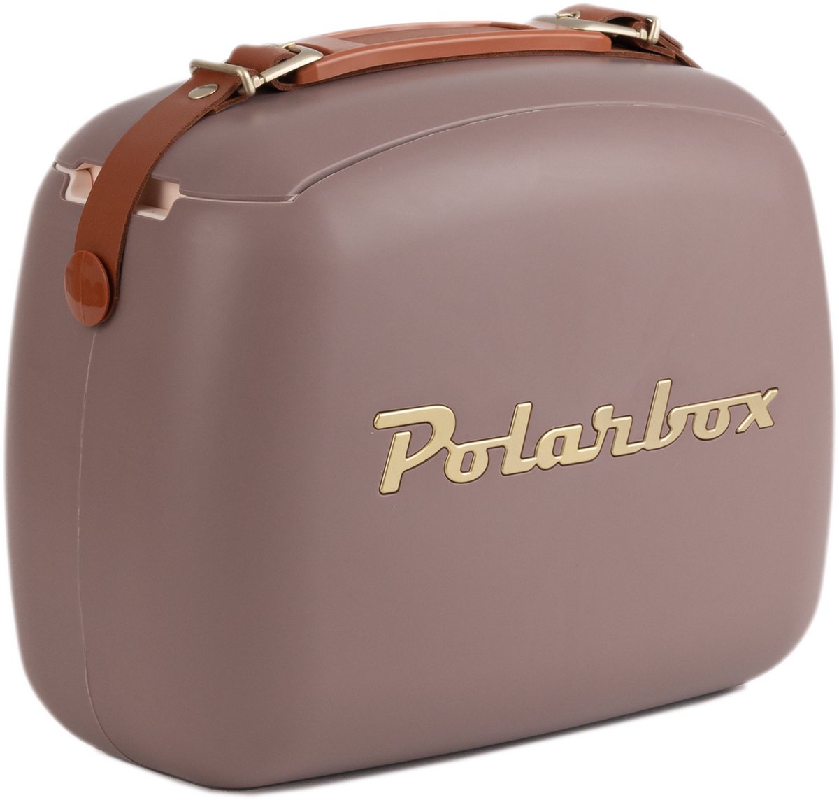 Polarbox CoolerBag glacière 6 L Marron