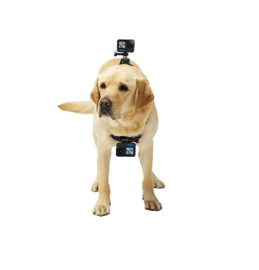 Statief Camera GOPRO DGMADOGM-001 Fetch dog Harness