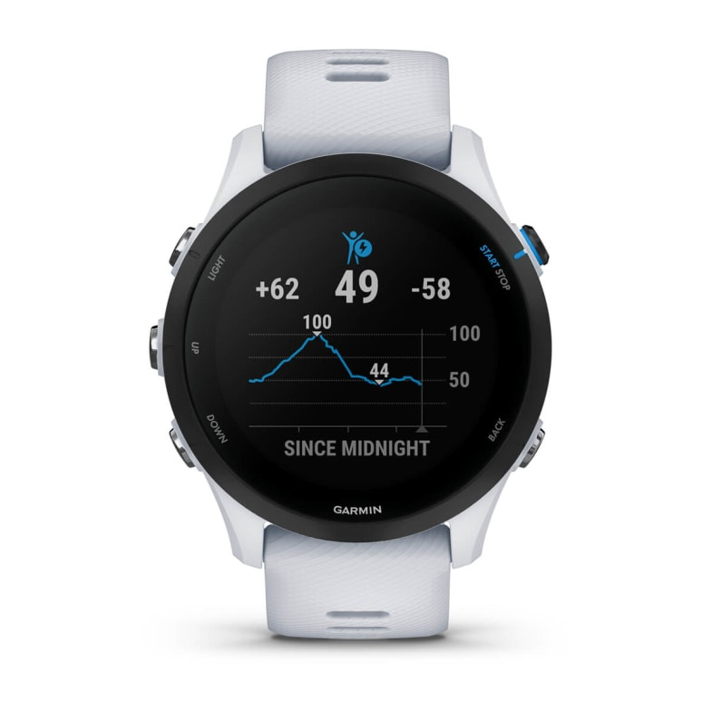 Smartwatch Garmin Forerunner 255 Music Whitestone