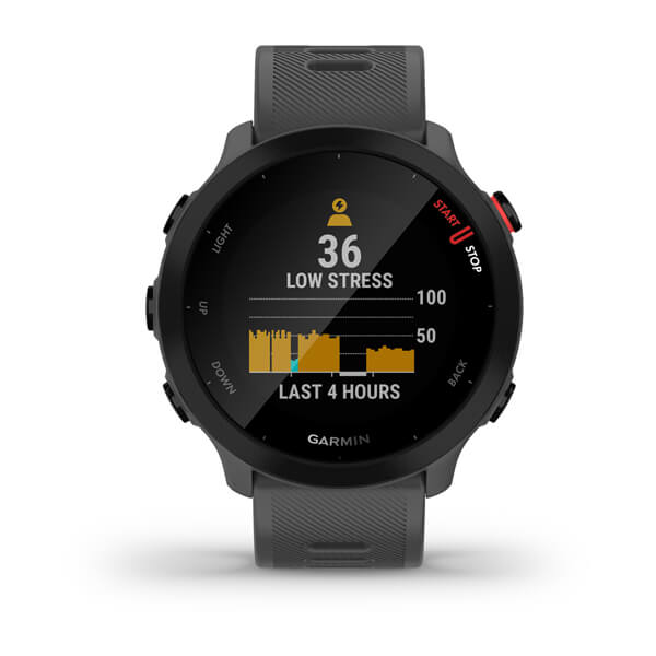 Garmin forerunner 55 monterra grey