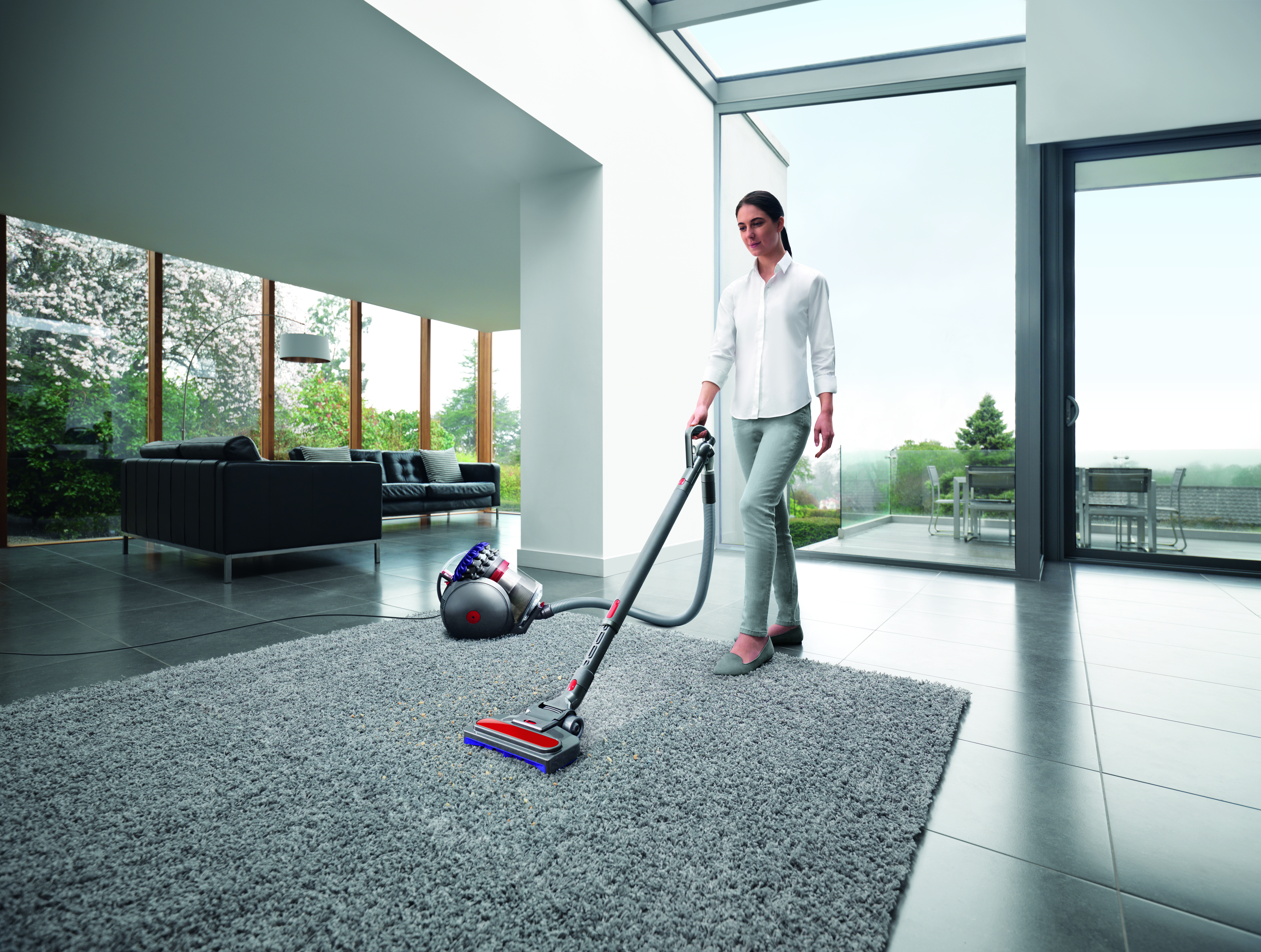 Dyson Big Ball Parquet 2