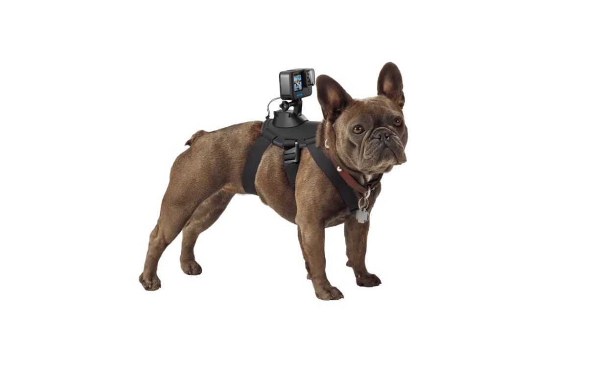 Statief Camera GOPRO DGMADOGM-001 Fetch dog Harness