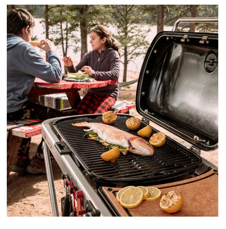 BBQ WEBER 9010039 Traveler Black