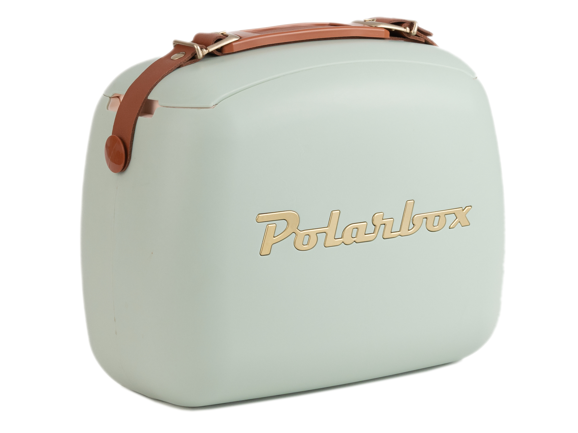 Polarbox CoolerBag koelbox 6 l Bruin, Goud, Groen