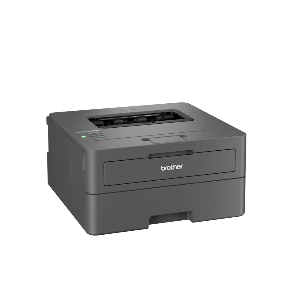 Printer Laser Brother HL-L2400DWE Mono A4 ECO